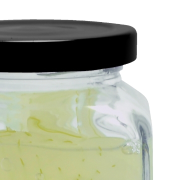 (P009) 新鮮蘆薈肉